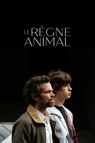 El reino animal