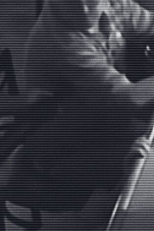Crímenes virales: Sin miedo