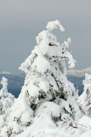 Japón, las cuatro estaciones: Otoño e invierno