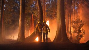 Fire Country (T1): Ep.1 Piloto