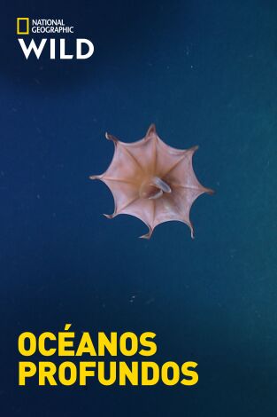 Océanos profundos
