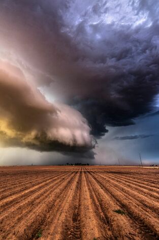 En el ojo de la tormenta: Desastre de derecho Texano