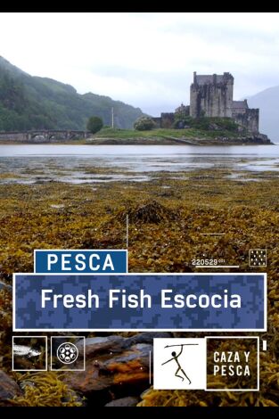 Fresh Fish, Escocia: Truchas a la vista