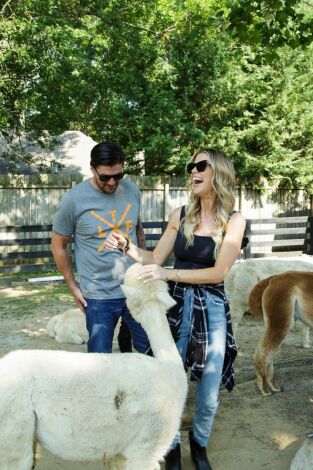 Christina in the Country: Tennessee Transplants