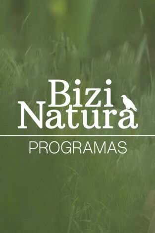 Bizi natura