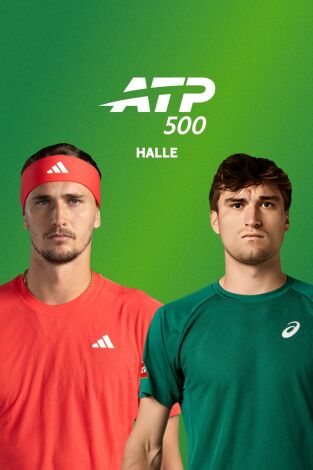 Torneo de Halle (T2026): Zverev - Collignon