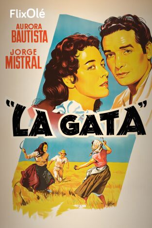 La gata