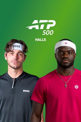 Torneo de Halle (T2026): Fritz - Tiafoe