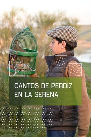 Cantos de perdiz en La Serena