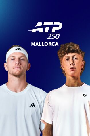Torneo de Mallorca (T2026): Davidovich - Quinn
