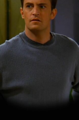 Friends (T3): Ep.11 El de cuando Chandler no recuerda qué hermana