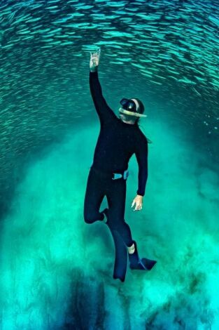 Ningaloo. La maravilla del océano de Australia: Colisiones