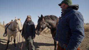 Veterinarios de Nebraska: La dama y el "gatabundo"