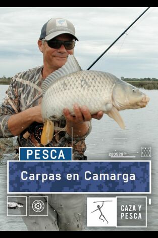 Carpas en Camarga