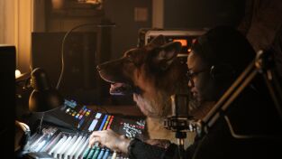 Hudson y Rex (T6): Ep.16 Rex, drogas y rock and roll