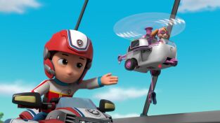 La patrulla canina (T8): Ep.25 Rubble, Wild y un ovillo. / Skye y Rory dan volteretas. / Marshall, Leo y la noria. /...