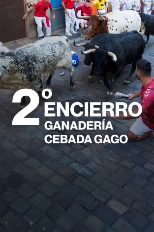 Vive San Fermín: Episodio 3