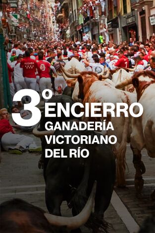 Vive San Fermín: Episodio 4