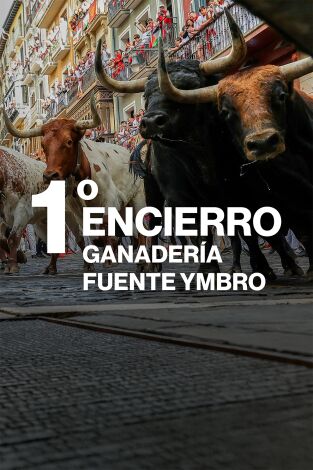 Vive San Fermín: Episodio 2