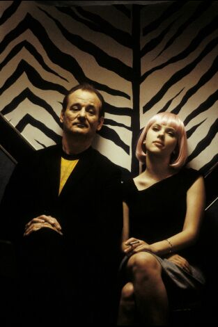 Lost in Translation