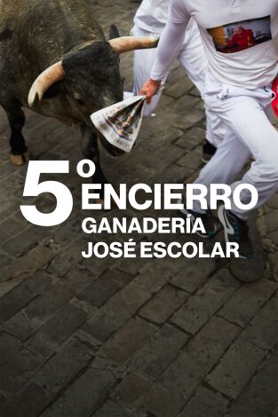 Vive San Fermín: Episodio 6