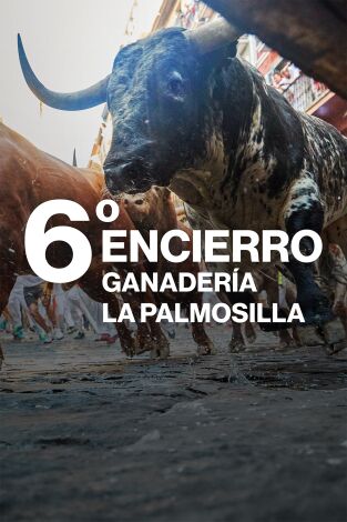 Vive San Fermín: Episodio 7