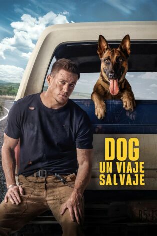 Dog. Un viaje salvaje