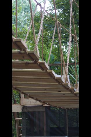 Construcciones al límite: Casa del árbol de AR Mountain