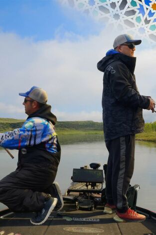 Andalusian bass