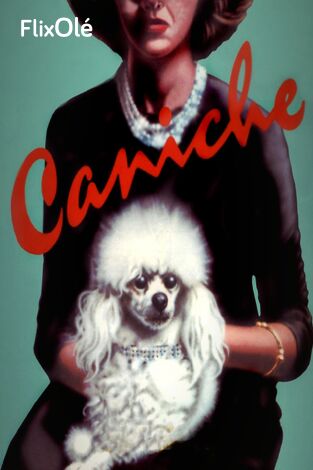 Caniche