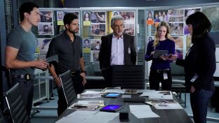 Mentes criminales (T14): Ep.9 Ala rota