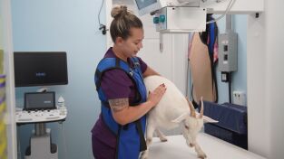 Critter fixers: Veterinarios rurales: Aquí los tratamos a todos