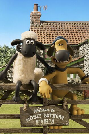El xai Shaun
