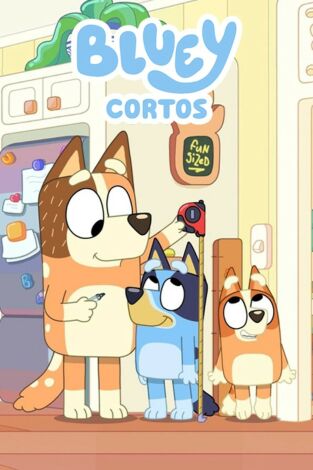 Bluey Cortos (T2): Ep.3 Platillo volante