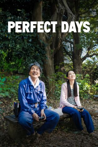 Perfect Days