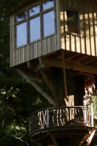 Mi casa en un árbol: Refugio en las secoyas