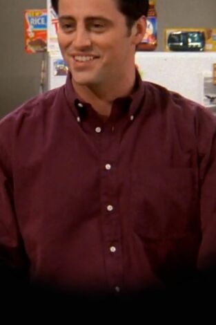 Friends (T6): Ep.19 El del frigorífico de Joey