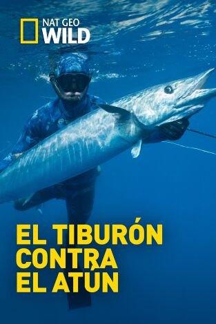 El tiburón contra el atún
