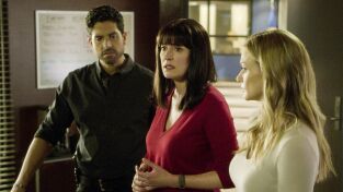 Mentes criminales (T14): Ep.10 Carne de su carne