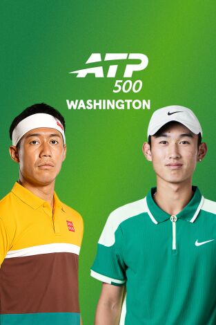 Torneo de Washington (T2026): Nishikori - Shang