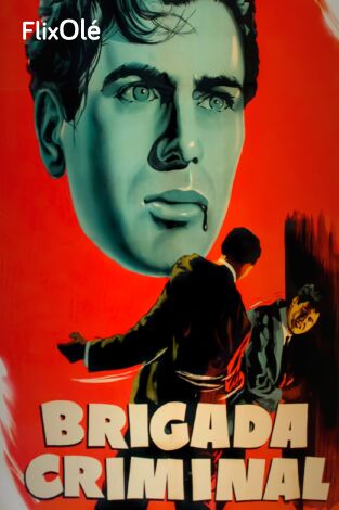 Brigada criminal