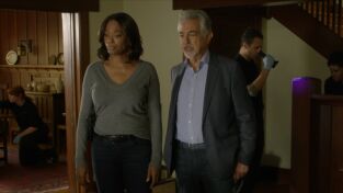 Mentes criminales (T14): Ep.11 Luces de noche