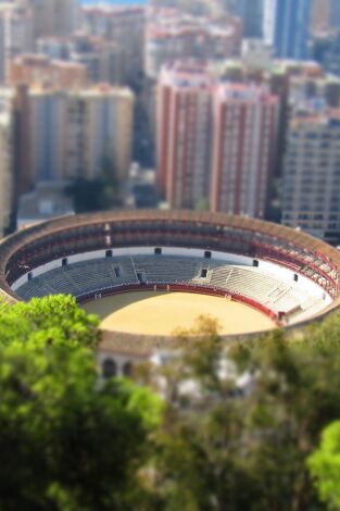 Novillada: Desde Villaluenga del Rosario