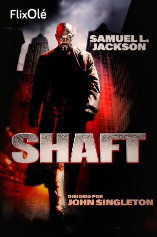 Shaft
