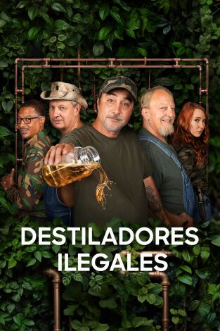 Destiladores ilegales: Moo Shine