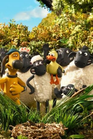 El xai Shaun