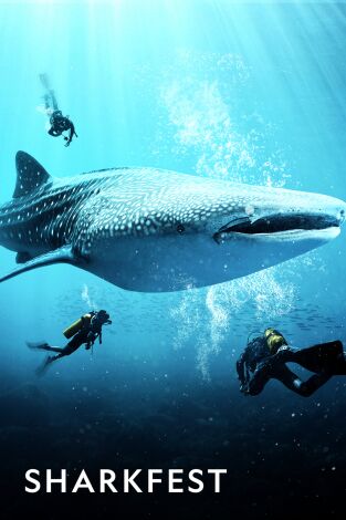 Sharkfest: Pico de mordiscos