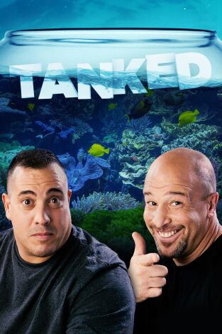 Acuarios XXL: Un acuario para Mel's Drive In