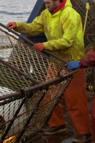 Pesca Radical: Eslabones débiles