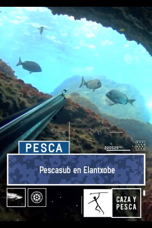 Pescasub en Elantxobe